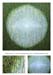 Joachim-Hirling-2010-3 - 160x160 cm